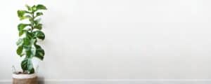 website design services blue mountains