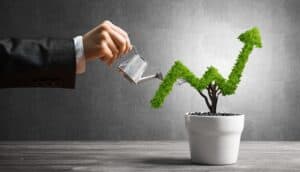 seo services penrith