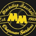 modern website design blue mountains