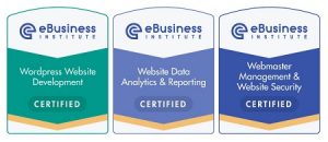Ebusiness Institute Web Design Certification