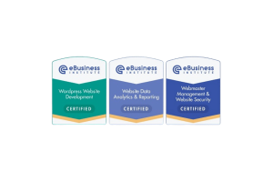 Ebusiness Institute Web Design Certification