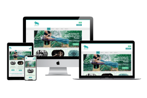 massage and holistic therapist web design