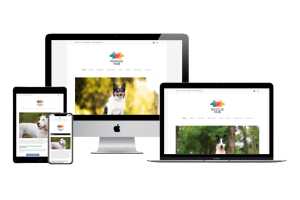 rescue hub website design